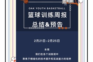 为什么企业愿意赞助篮球训练和发展活动:深度解析与策略指南
